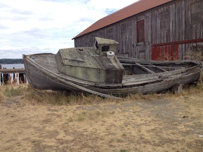 Dry grass, abandoned boat, and old shed